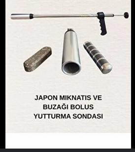 JAPON MIKNATIS VE BUZAĞI BOLUS YUTTURMA SONDASI